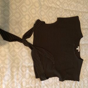 gianni bini crop top
